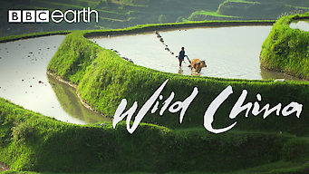 Wild China: Wild China