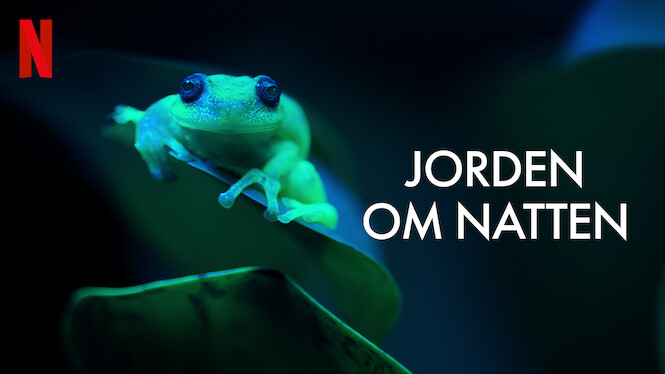 Jorden om natten