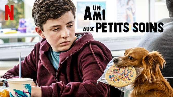 Un Ami Au Petit Soin Un ami aux petits soins (2020) - Netflix | Flixable